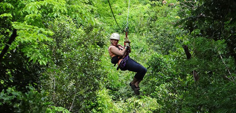 activities canopy tour