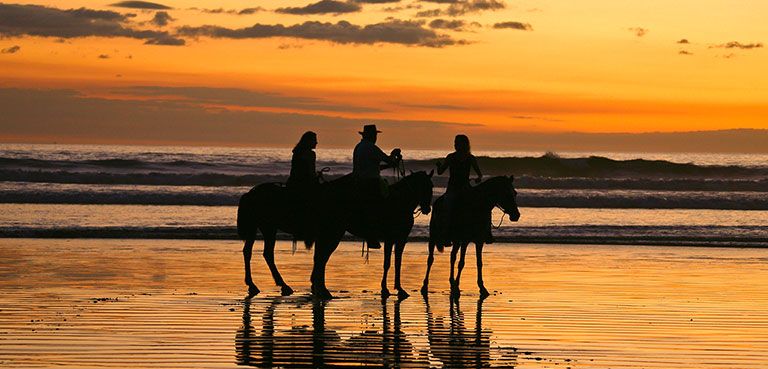 activities horseback riding