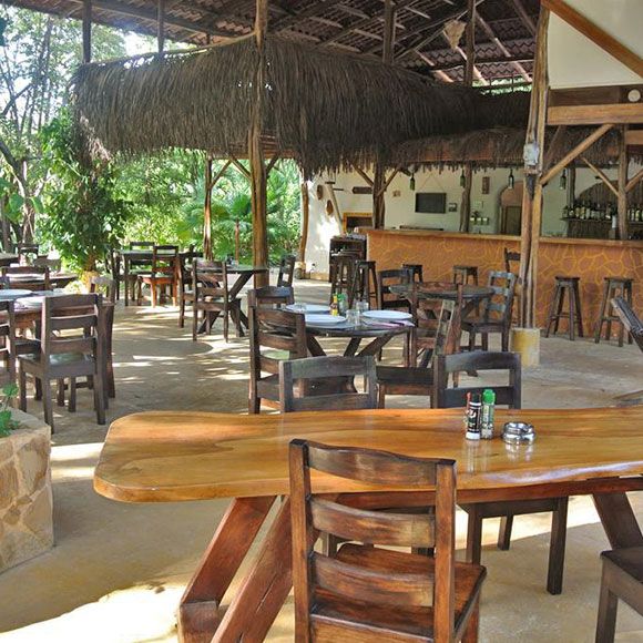 Dining in the Jungle